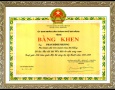 Certificate of merit from Danang People's Committees 2000