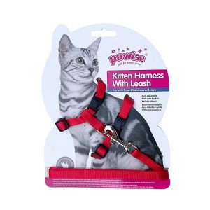 Arnés Para Gatos Con Correa Pawise