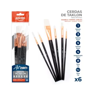 POINTER PINCEL 6PC