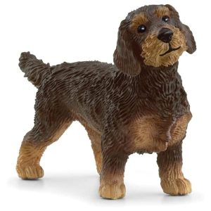 Figura de perro Teckel de pelo duro para coleccionar de Schleich 13972