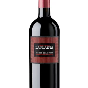 Arzuaga La Planta Magnum