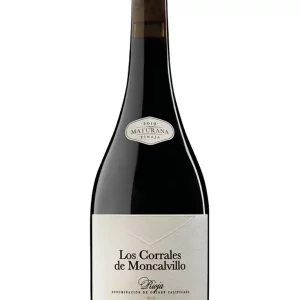 Los Corrales de Moncalvillo Ánfora