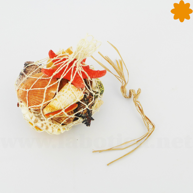 Conjunto de conchas y caracoles marinos de colores