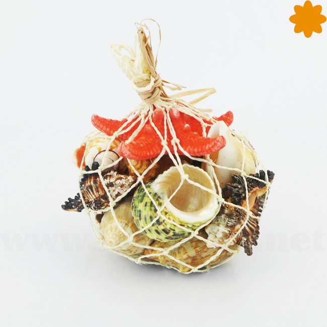 Conjunto de conchas y caracoles marinos de colores - Imagen 4