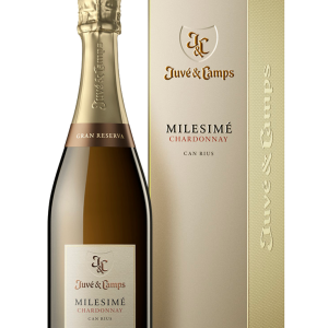 Juvé & Camps Millesimé Chardonnay