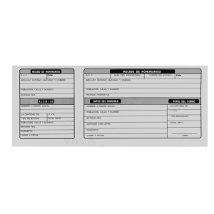 Block Con 100 Talones Recibo De Honorarios 21.5 X 9.3 Cm